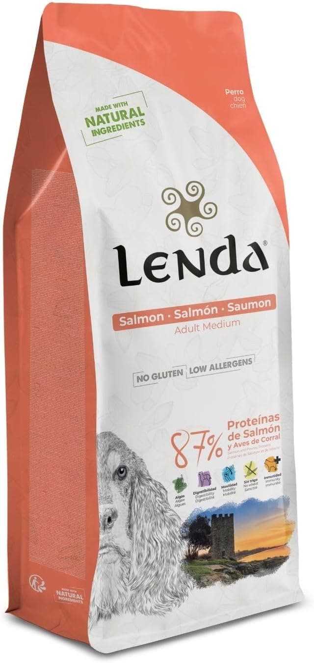 Lenda Salmón - Pienso para Perros Rico En Salmón |Comida para Perros Jóvenes y Adultos de Todas Las Razas | Pienso para Perro Natural (2kg)